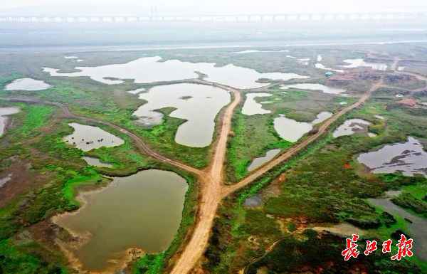 无人机下的都市绿肺