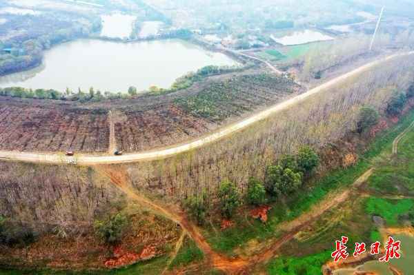 无人机下的都市绿肺