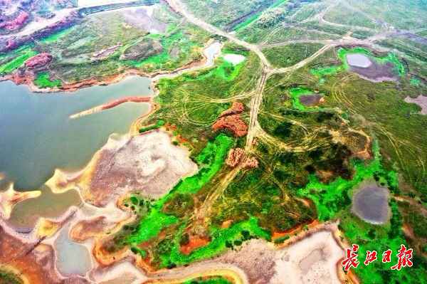 无人机下的都市绿肺