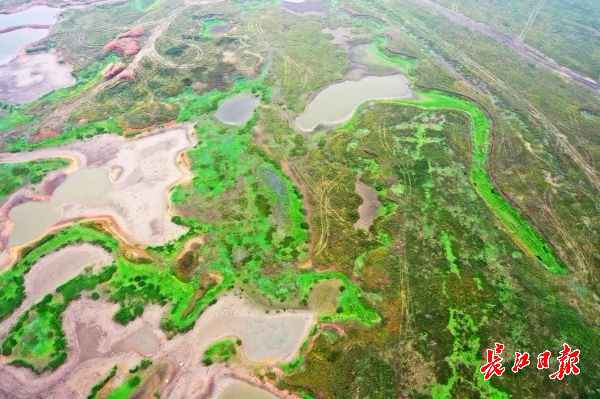 无人机下的都市绿肺