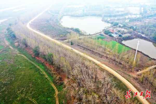 无人机下的都市绿肺