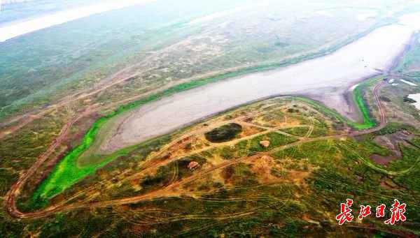 无人机下的都市绿肺