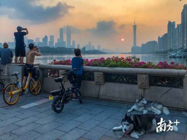 南边拍客看广东｜一周精选 湾区赏红月