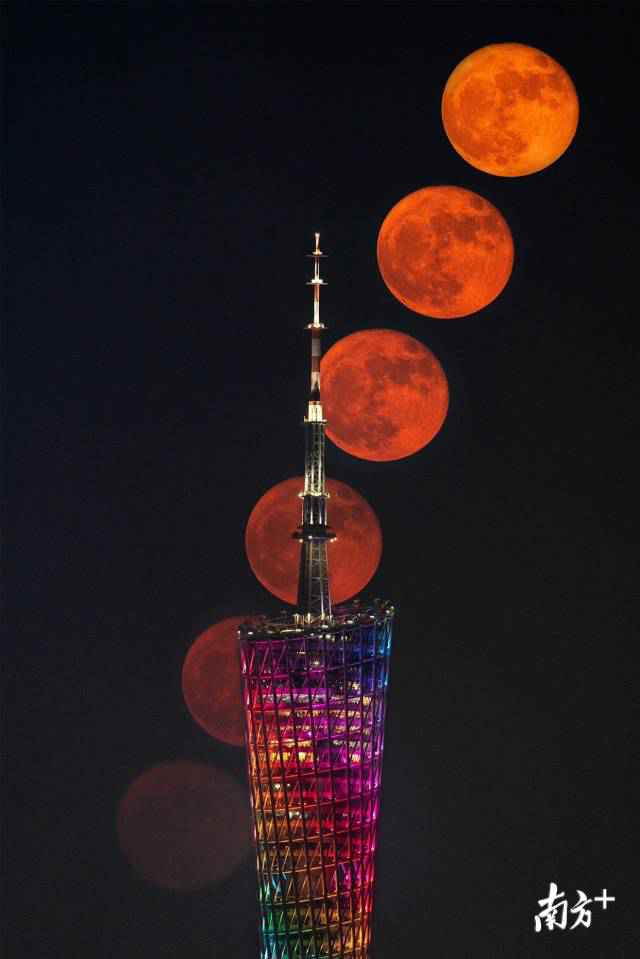 南边拍客看广东｜一周精选 湾区赏红月