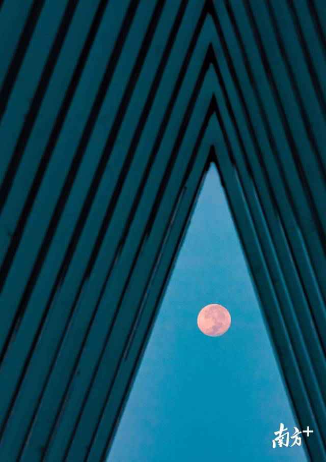 南边拍客看广东｜一周精选 湾区赏红月