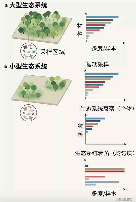 反思生境丧失导致的灭尽问题