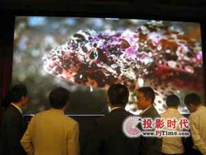 专业领航 共赢将来 威创2010年创新体验之旅