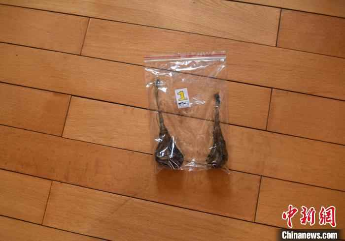 吉林破获一起野活跃物成品案