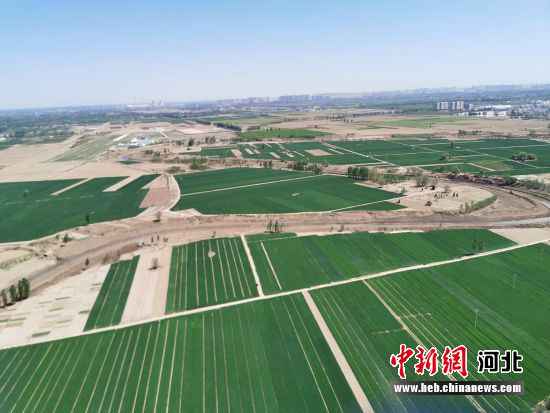 河北衡水将开通空中旅游线路 明确“京津冀最美湿地”奇特魅力——中国新闻网河北