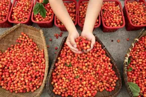 重庆农旅融合一连升温，就靠这几招！