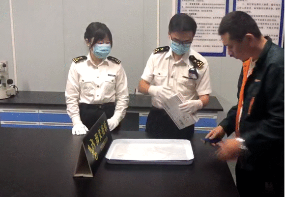 漂洋过海的“礼品” 藏匿661颗犯科入境“多肉”