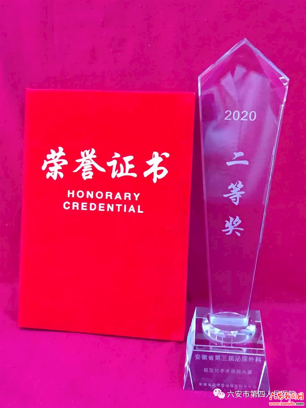 六安市四院泌尿外科省年会上展风范