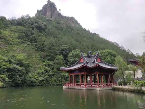 浙江缙云：“红绿”赋能村子振兴 演绎融合成长变奏曲