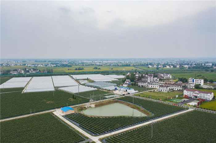 安徽脱贫一战结三果：富了村子 强了作风 聚了民气