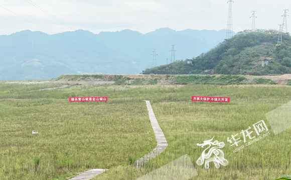 视频|一座“污染山”变身青草地 司法护航瑰丽长江垂青庆法院出招