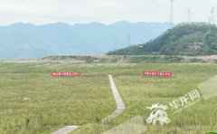视频|一座“污染山”变身青草地 司法护航瑰丽长