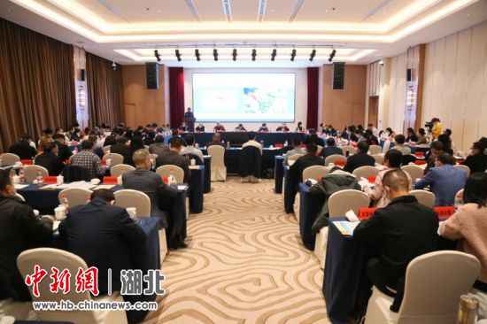 湖北推进电子商务进农村综合示范