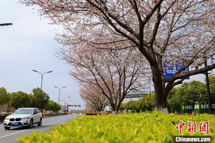 暴雨大风将至 浙江24小时值班值守增强监测