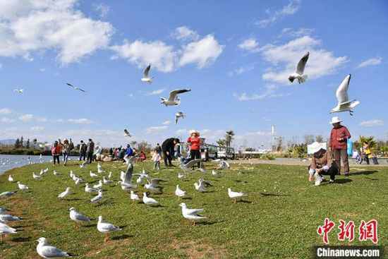 生态情况部谈污染防治攻坚：勇往向前 别无他途——中国新闻网河北