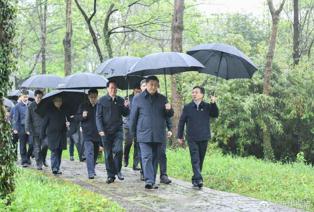 习近平观察杭州湿地呵护操纵和都会打点情况