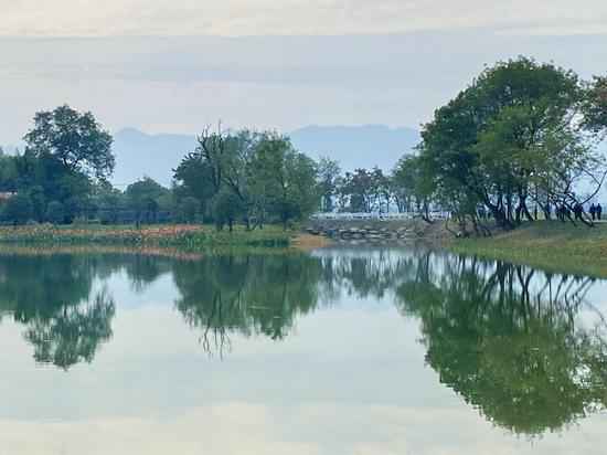 重现千年汗青湖景 杭州富阳阳陂湖一期对外开放