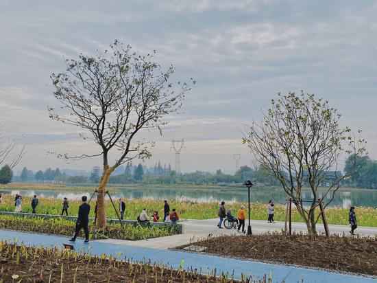 重现千年汗青湖景 杭州富阳阳陂湖一期对外开放