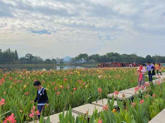 重现千年汗青湖景 杭州富阳阳陂湖一期对外开放