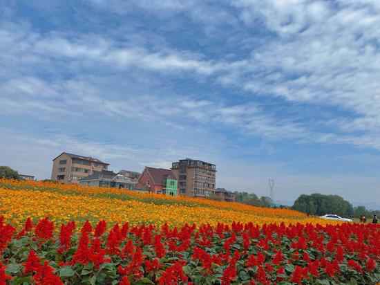 重现千年汗青湖景 杭州富阳阳陂湖一期对外开放