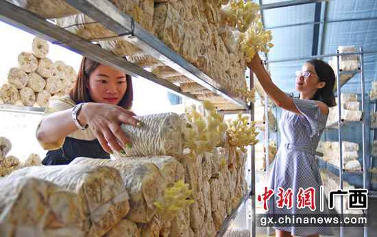 南边电网广西电网公司助力广西打赢脱贫攻坚战