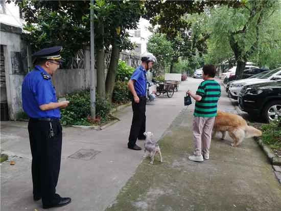 遛狗未牵狗绳罚款20元 浙江宁波养犬打点法律开首批罚单