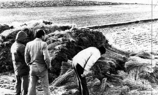 34年来首次 韩国《杀人回想》原型李春宰果真表态