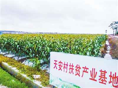 【脱贫攻坚】珠海斗门：联袂开展消费扶贫促增收