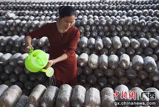 金秀瑶族自治县头排镇：朝着全面小康方针刚强前行