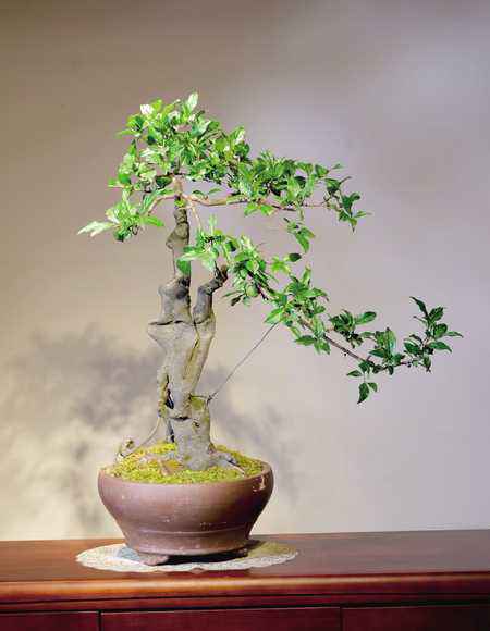 区县文旅佳构荟|原乡风情大美铜梁