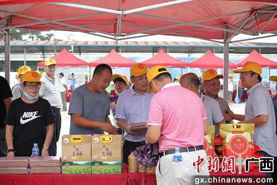 钦州市钦北区“香满红”托起致富梦