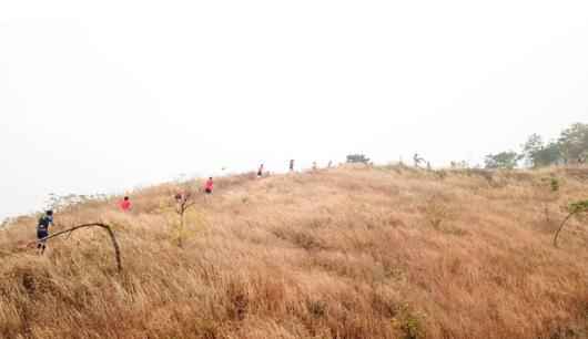 问津故地掀健身高潮 | 2019中国山地马拉松系列赛—武汉新洲站圆满落幕