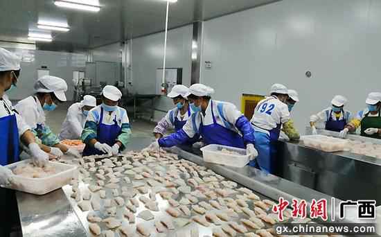 广西靖西互市商业收支口额大幅增长