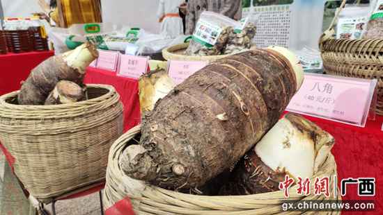 桂林荔浦市举行扶贫优质农产物推介勾当