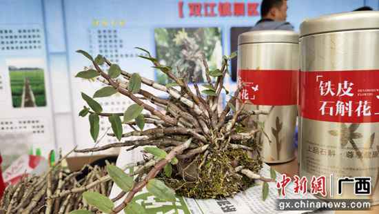 桂林荔浦市举行扶贫优质农产物推介勾当