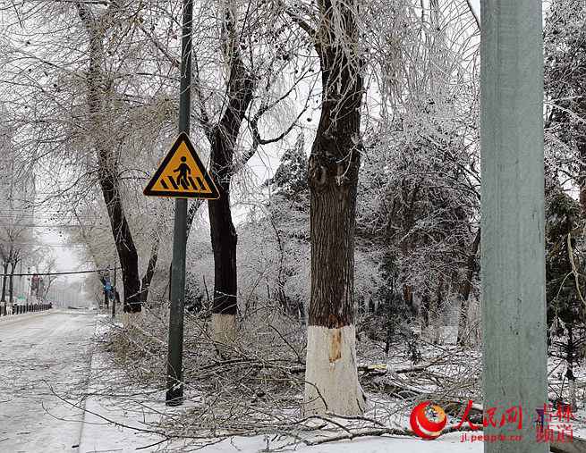 吉林省：努力应对冰冻雨雪天气！【组图】
