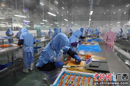 广西靖西扶贫财富园引进强优企业壮大县域经济