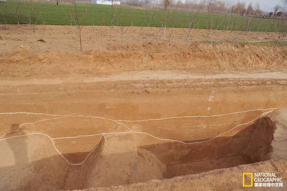 重磅新闻：2014年度全国十大考古新发明