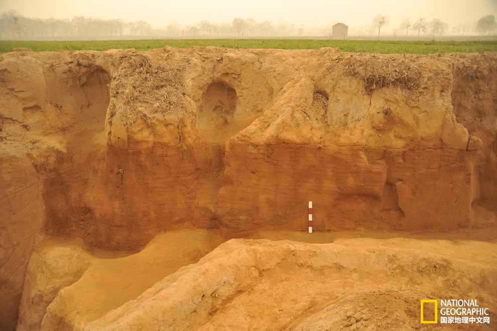 重磅新闻：2014年度全国十大考古新发明