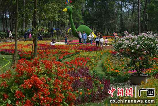 桂林灵川县浪漫花海助村民脱贫增收