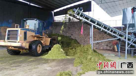 科技创新助力广西武宣县农夫念活“致富经”