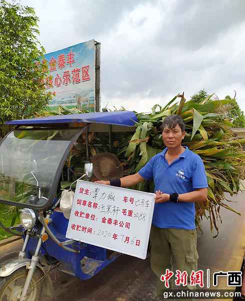 科技创新助力广西武宣县农夫念活“致富经”