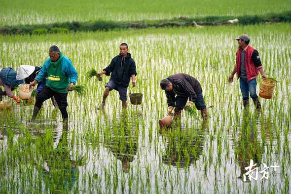 南边拍客看广东｜一周精选 接待回家