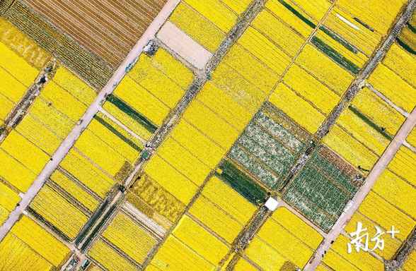 南边拍客看广东｜一周精选 接待回家