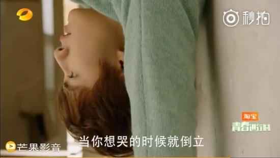 新《流星花圃》槽点不绝 播出6集就“大了局”