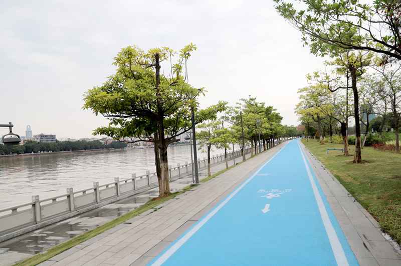 广州黄埔区高尺度率先完成生物岛碧道示范段建树
